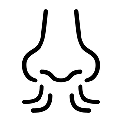 Pilates périnatal respiration